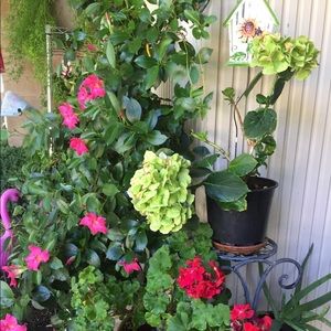 Meet your Posher, Lynda